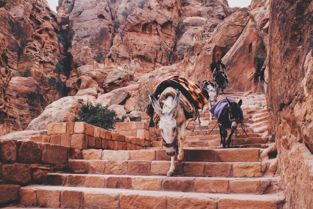 Photo Petra, Jordan