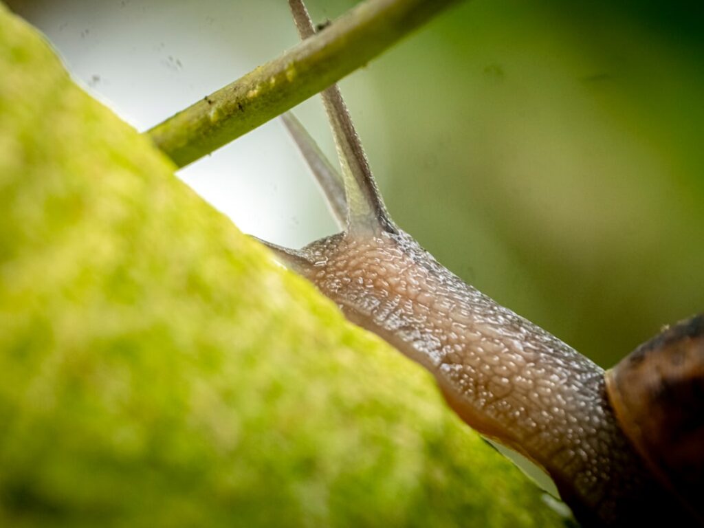 Photo health maintenance