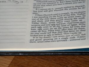 Photo dream interpretation