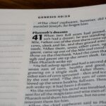 Photo dream interpretation