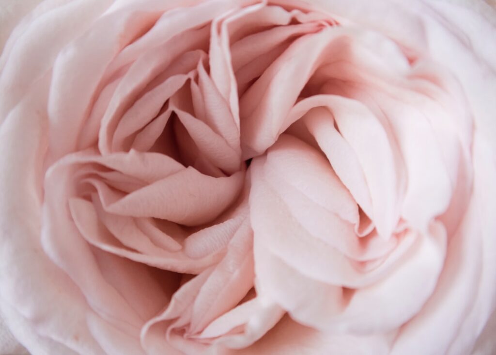 Photo femininity