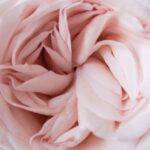 Photo femininity