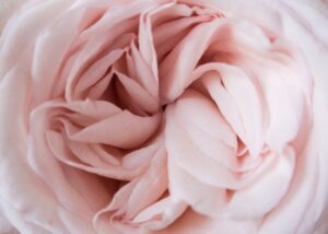 Photo femininity
