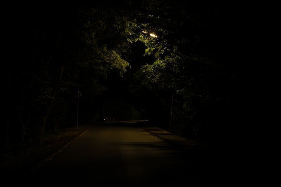 Photo evening