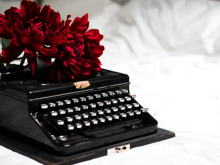 literary style in blogging